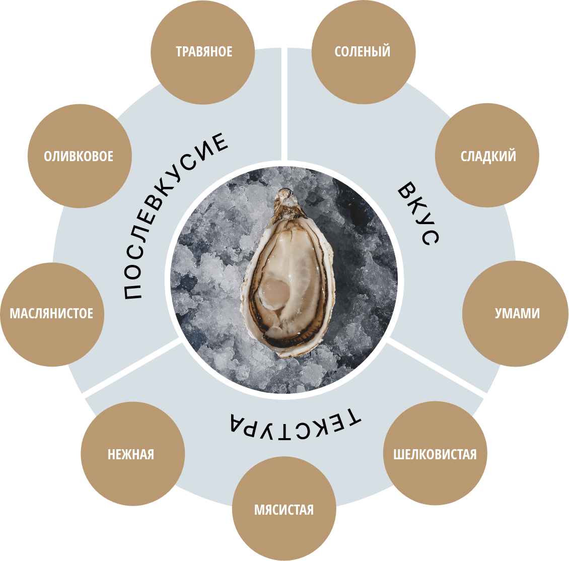 tasting-notes